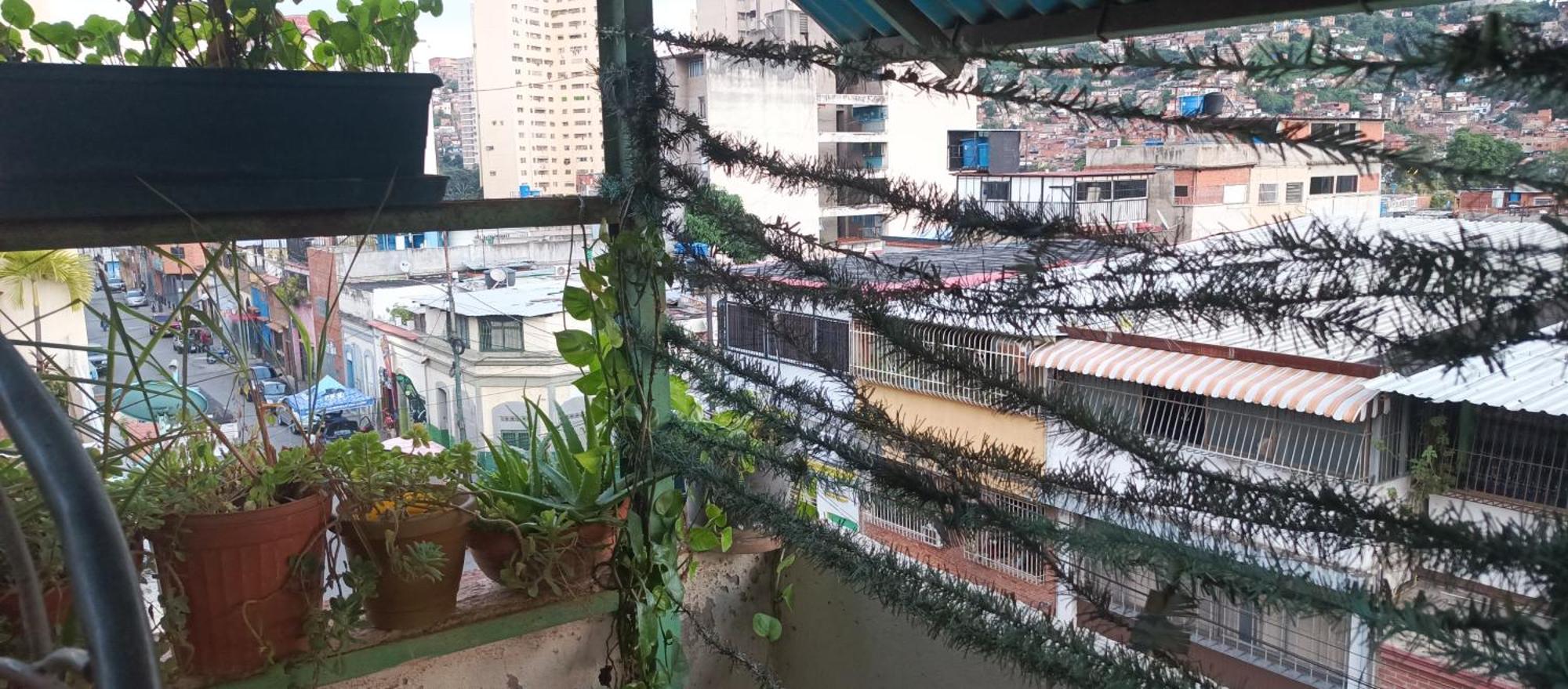 Hotel Don Gato Caracas Zewnętrze zdjęcie